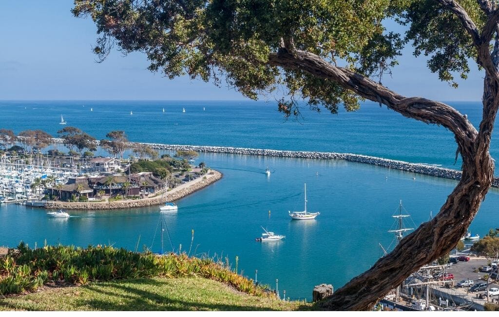 Dana Point harbor and coastline with luxury homes overlooking the Pacific