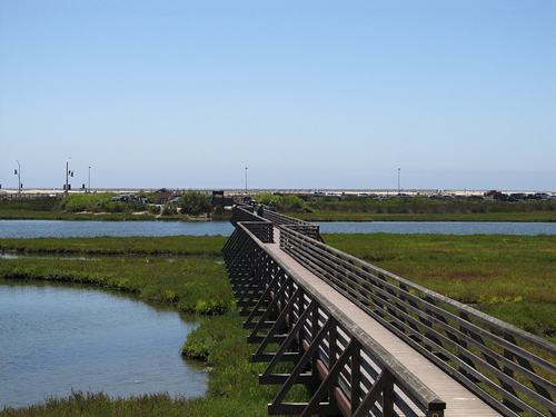 Bolsa Chica Wetlands - Image Credit: https://www.flickr.com/photos/kenlund/6016955051