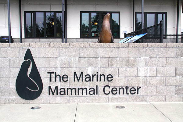 Marine Mammal Center - Image Credit: http://en.wikipedia.org/wiki/File:Marin_Marine_Mammal_Center.jpg